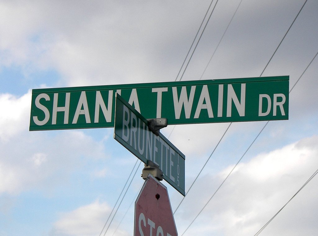 Shania Twain – Timmins, Ontario, Canada (image credits: wikimedia)