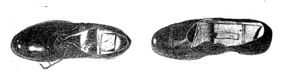 The Heel Compartment – Secrets in Your Step (image credits: wikimedia)
