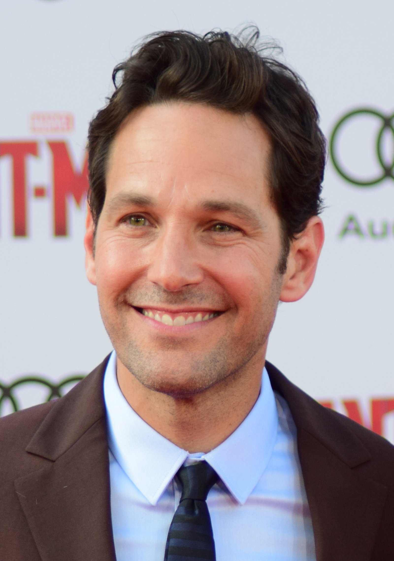 Ant-Man and the Winter Soldier Join the Fight (image credits: wikimedia)