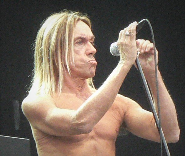 4. Iggy Pop – Seven Dwarfs (image credits: wikimedia)