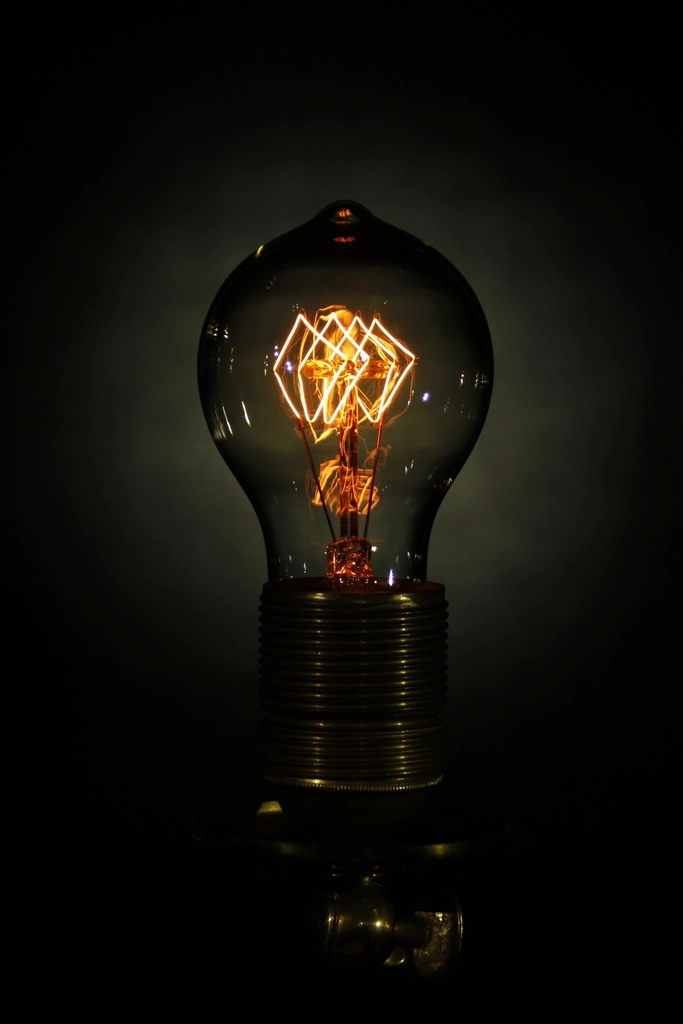 15. Thomas Edison Invented the Lightbulb (image credits: rawpixel)