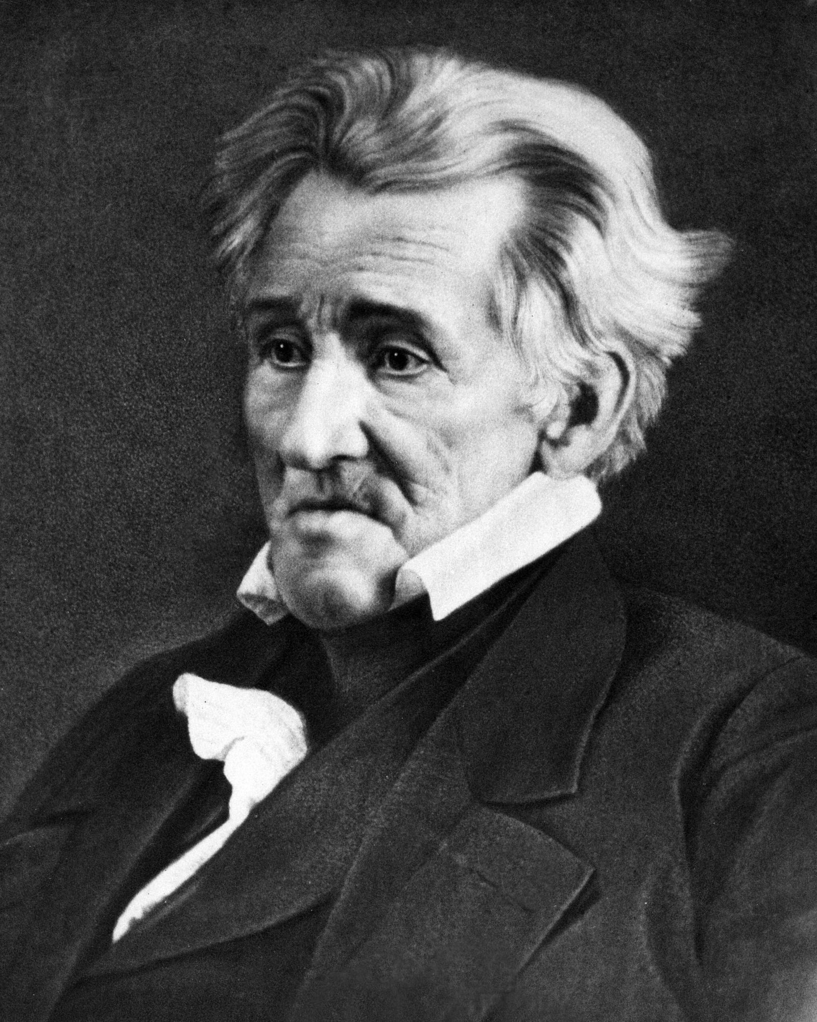 Andrew Jackson: A Controversial Champion of the Common Man (image credits: wikimedia)