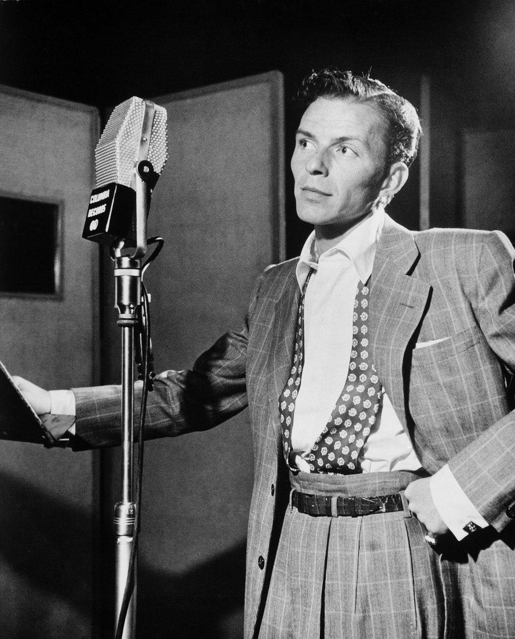 6. Frank Sinatra (image credits: pixabay)
