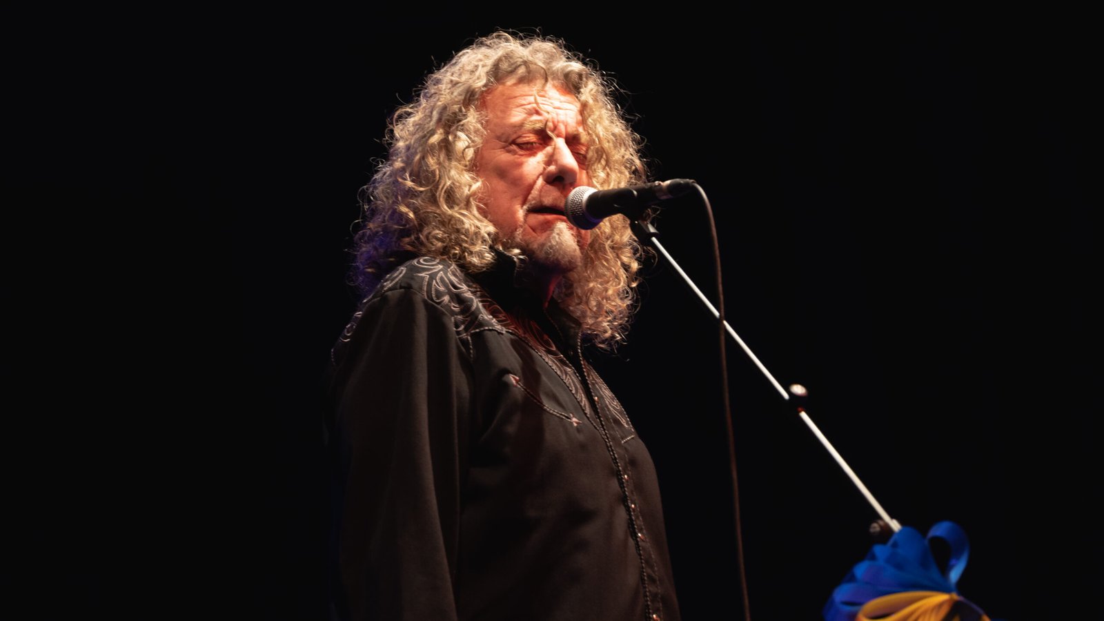 15. Robert Plant (image credits: wikimedia)