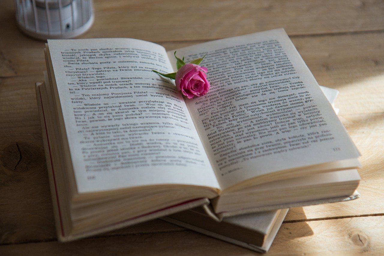 The Rosie Project by Graeme Simsion (image credits: pixabay)