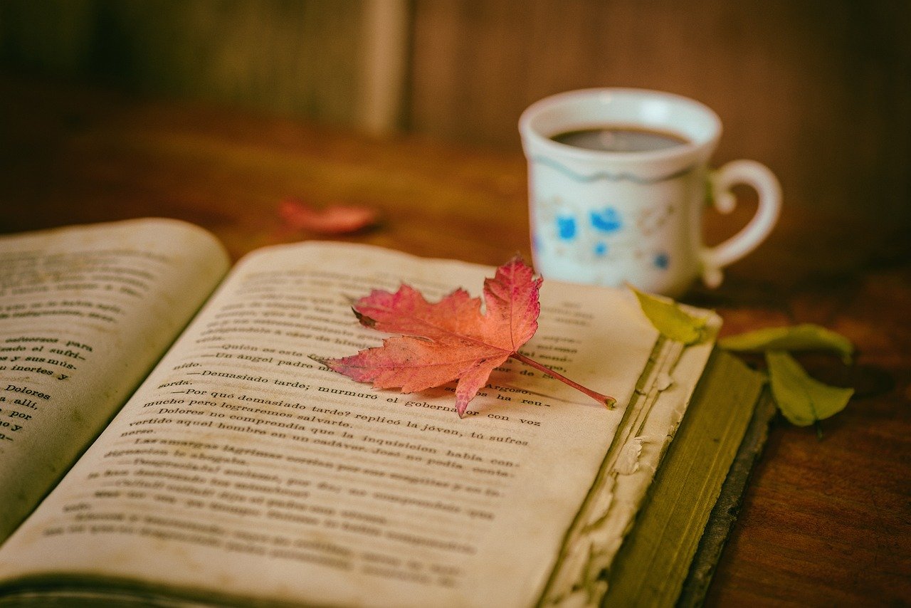 The Giver of Stars by Jojo Moyes (image credits: pixabay)