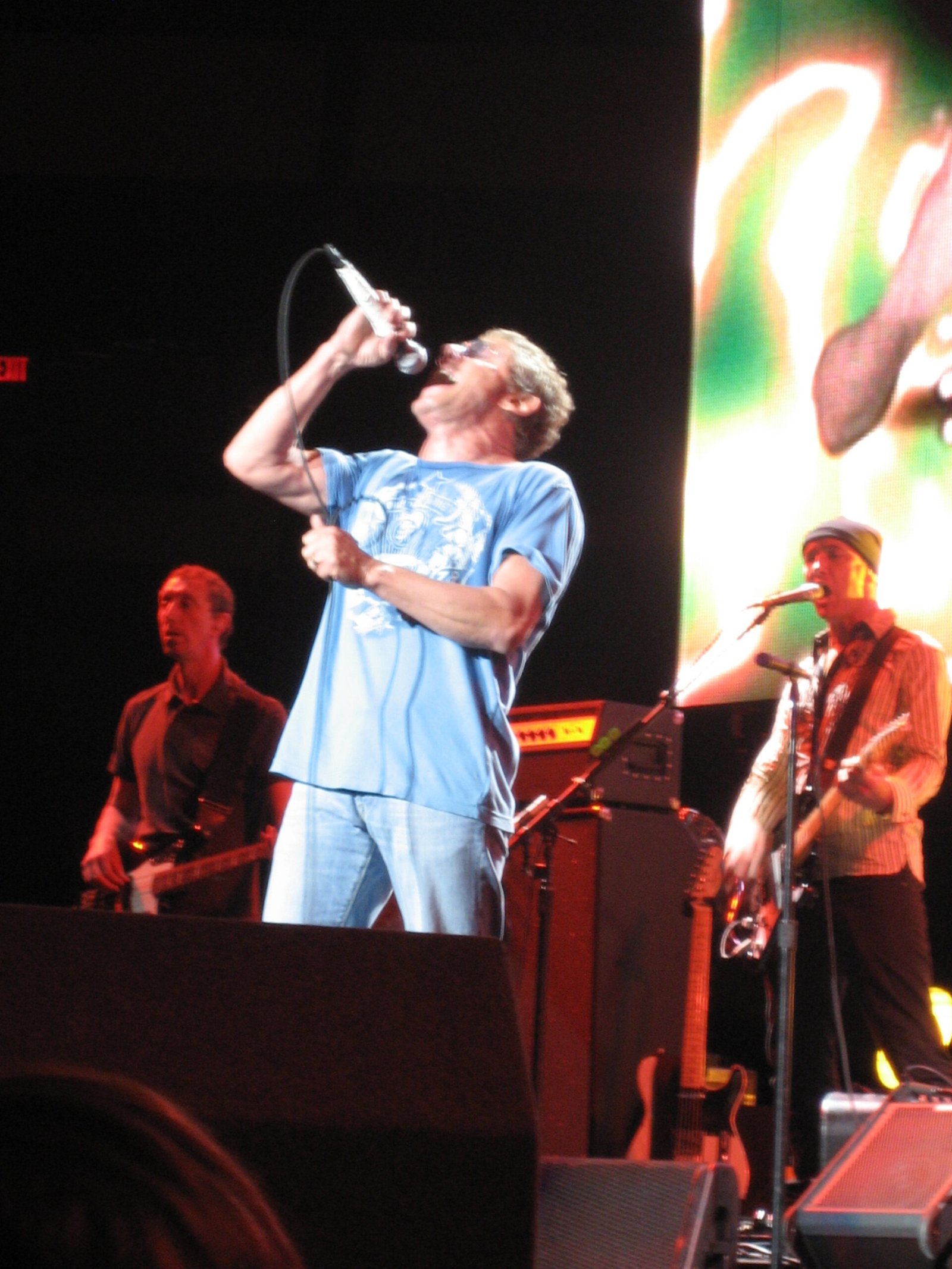 Roger Daltrey (The Who) (image credits: wikimedia)