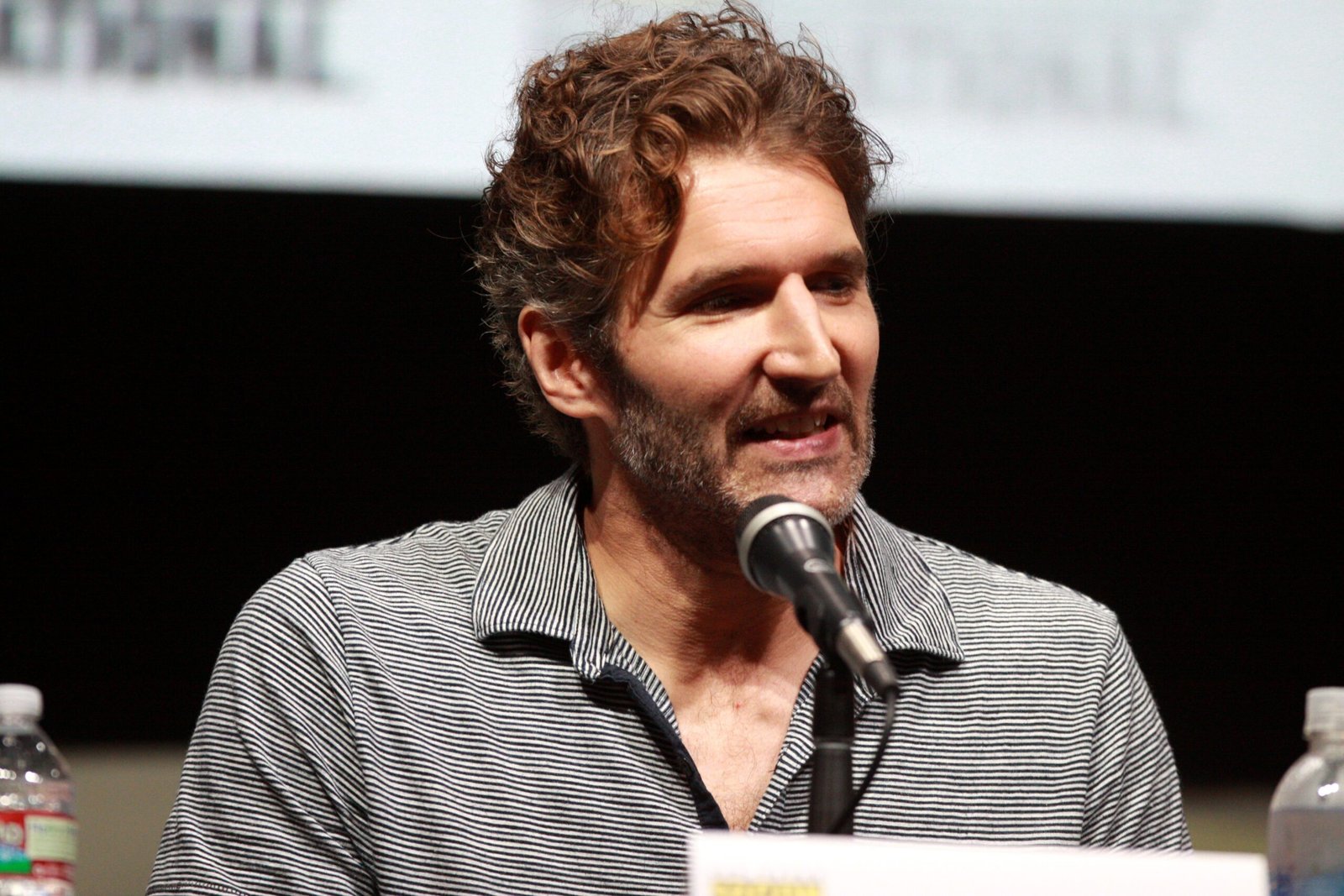 City of Thieves – David Benioff (2008) (image credits: wikimedia)
