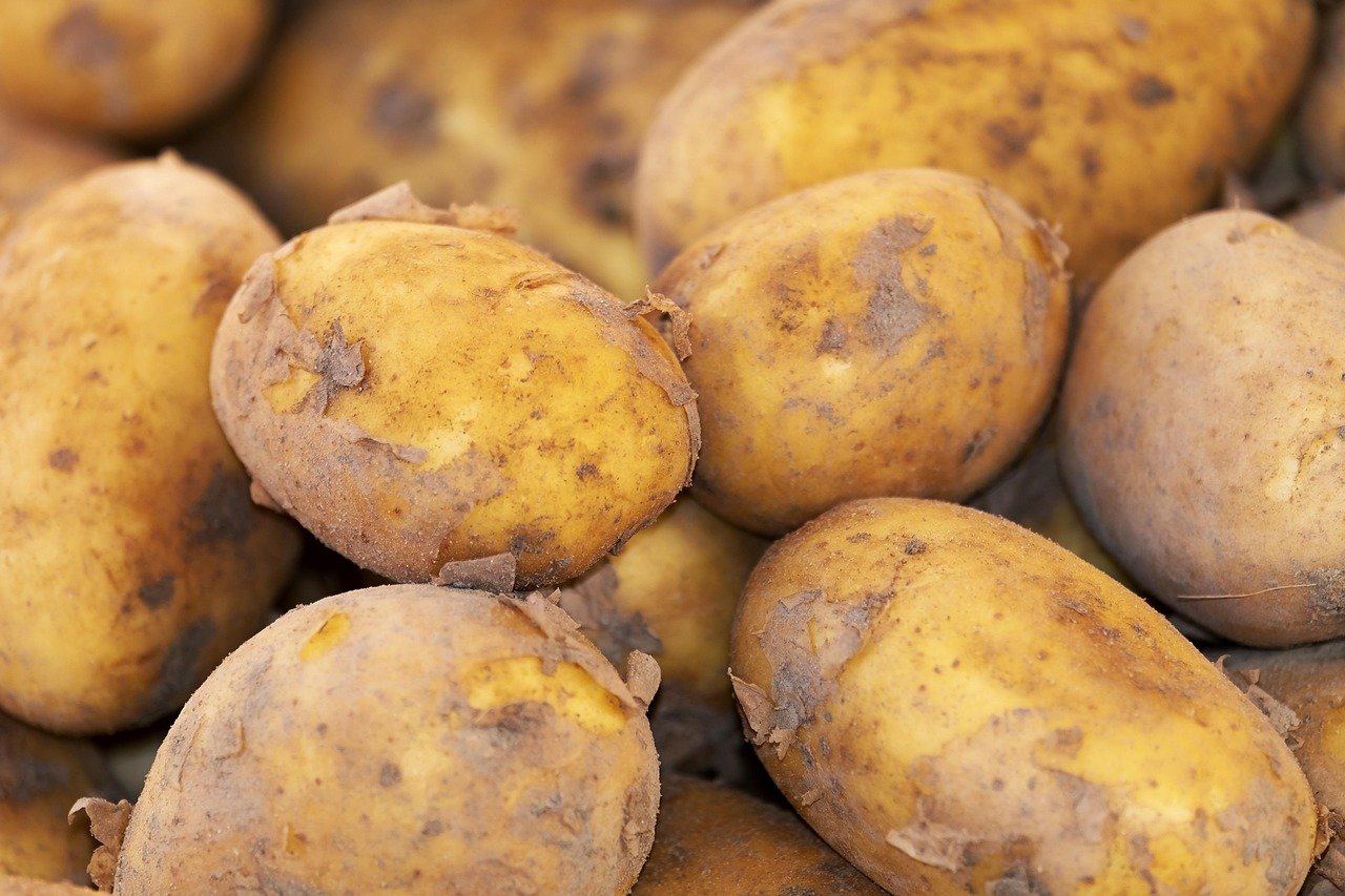 The Guernsey Literary and Potato Peel Pie Society – Mary Ann Shaffer (2008) (image credits: pixabay)