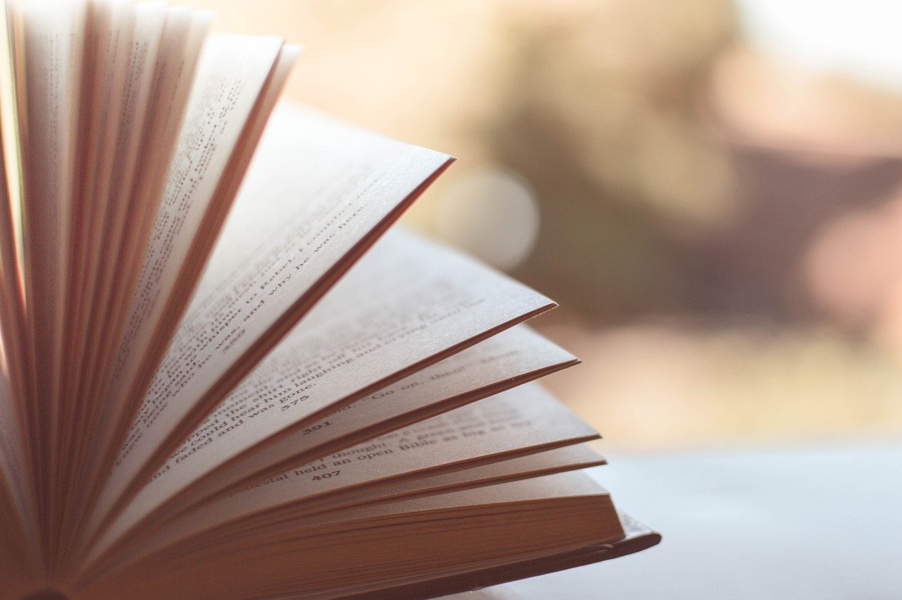 Tuesdays with Morrie by Mitch Albom (image credits: pixabay)