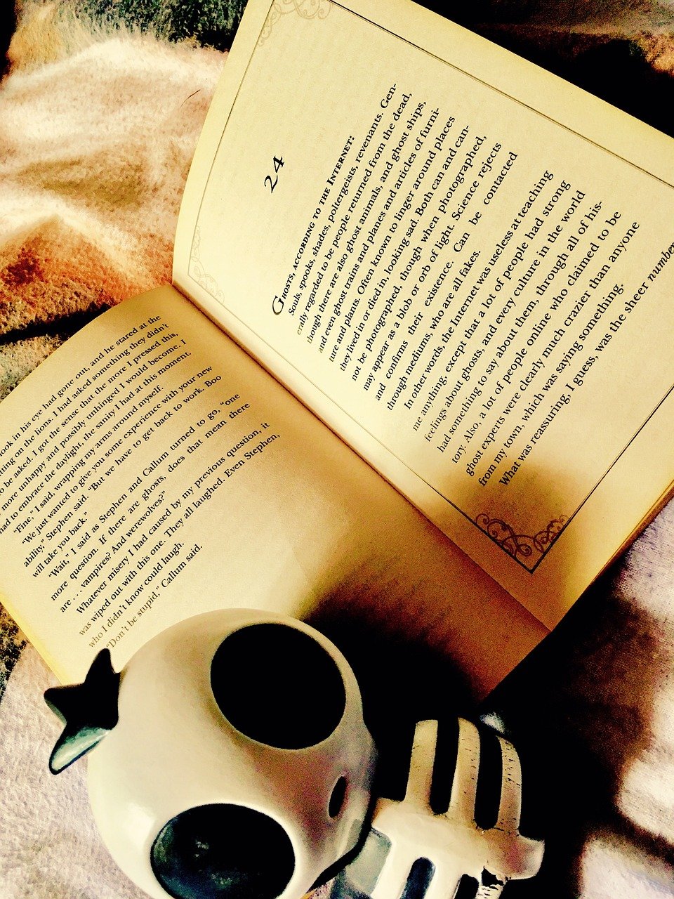 9. Freida McFadden – The Housemaid (image credits: pixabay)