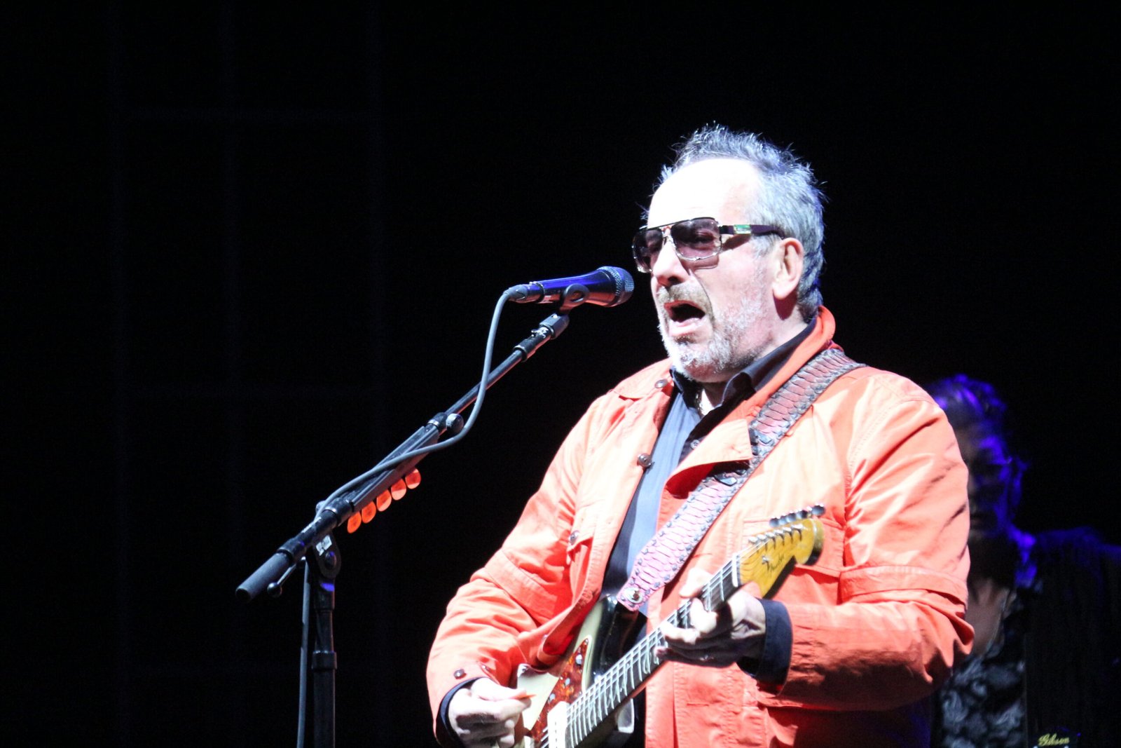 Elvis Costello – “Alison” (image credits: wikimedia)