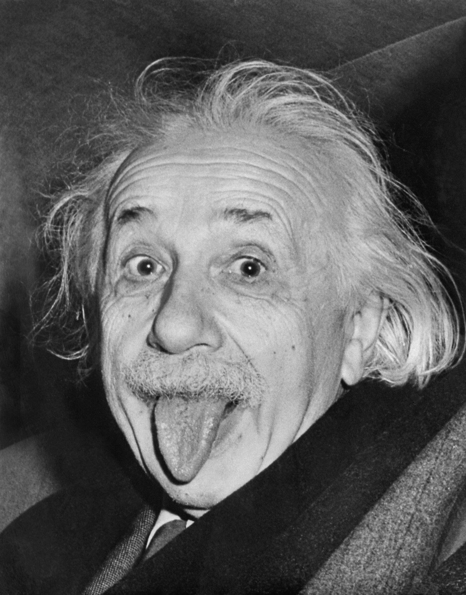 4. Albert Einstein – The Genius Who Redefined Science (image credits: wikimedia)