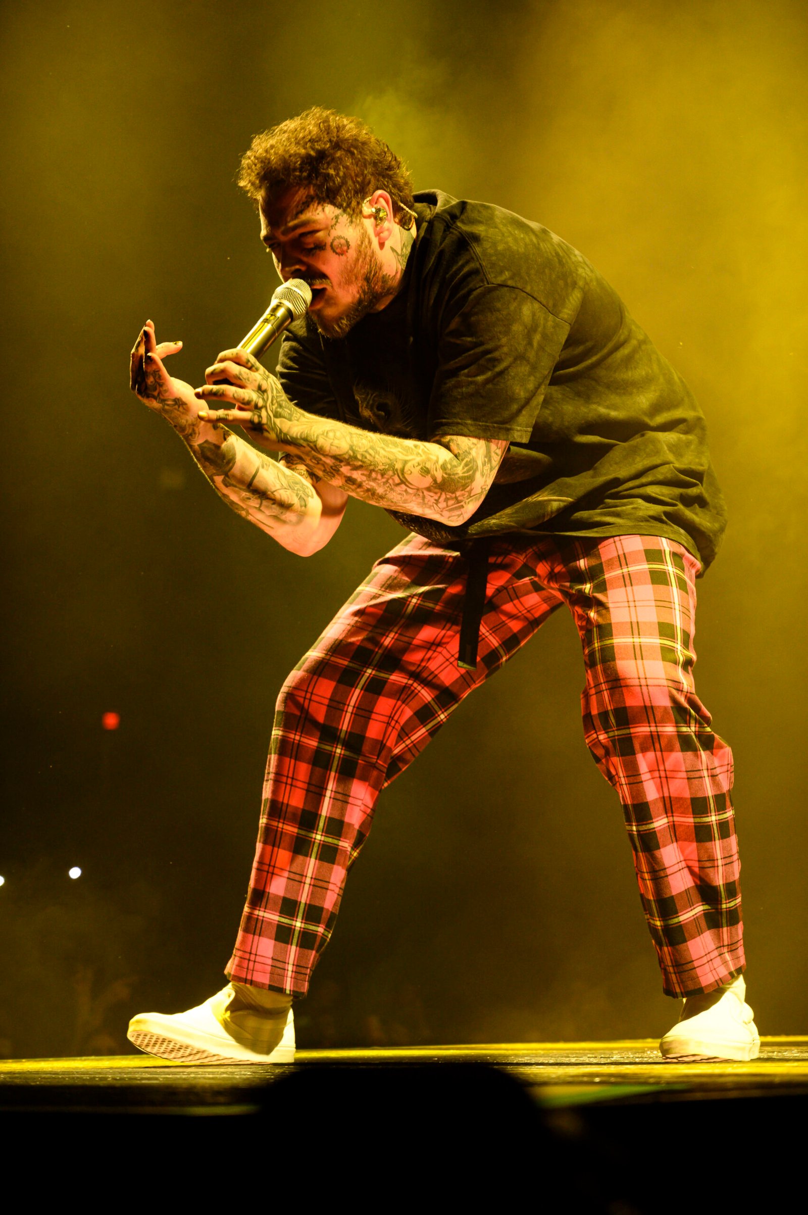 Post Malone Falls Into a Hole – St. Louis 2022 (image credits: wikimedia)