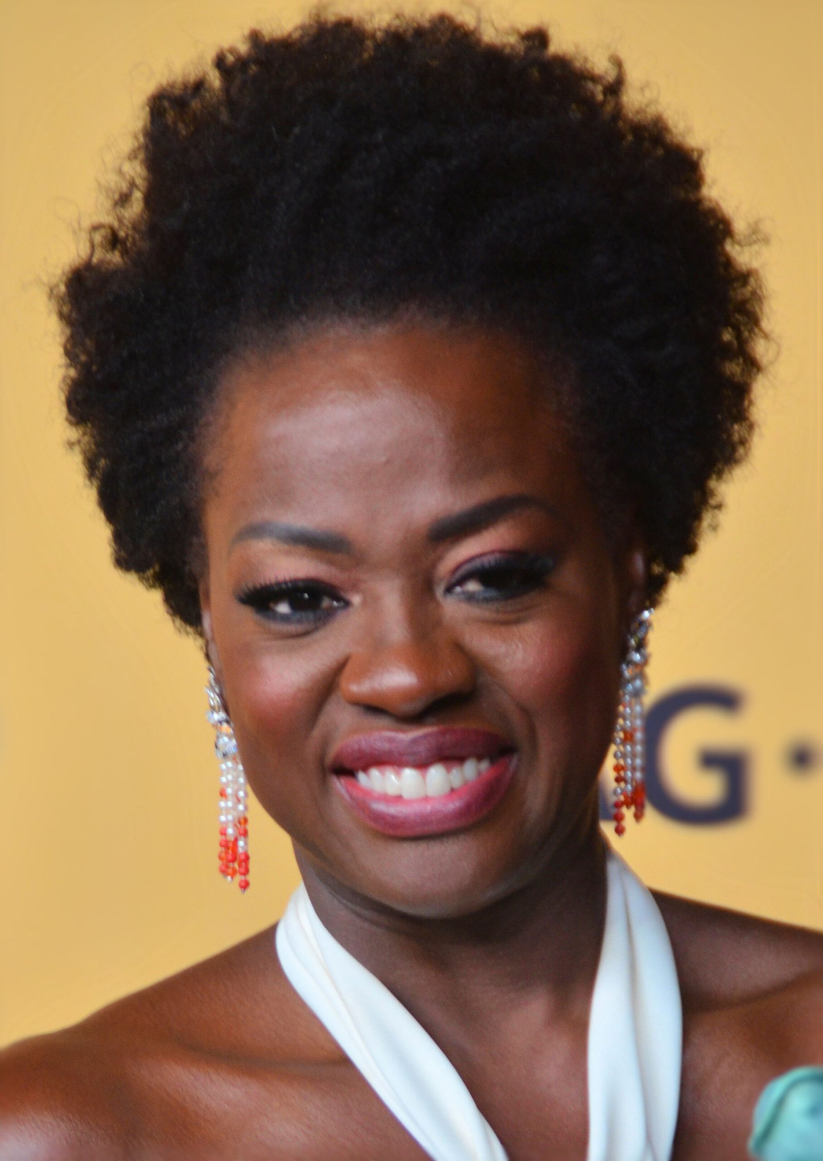 20. The Help (2011) (image credits: wikimedia)