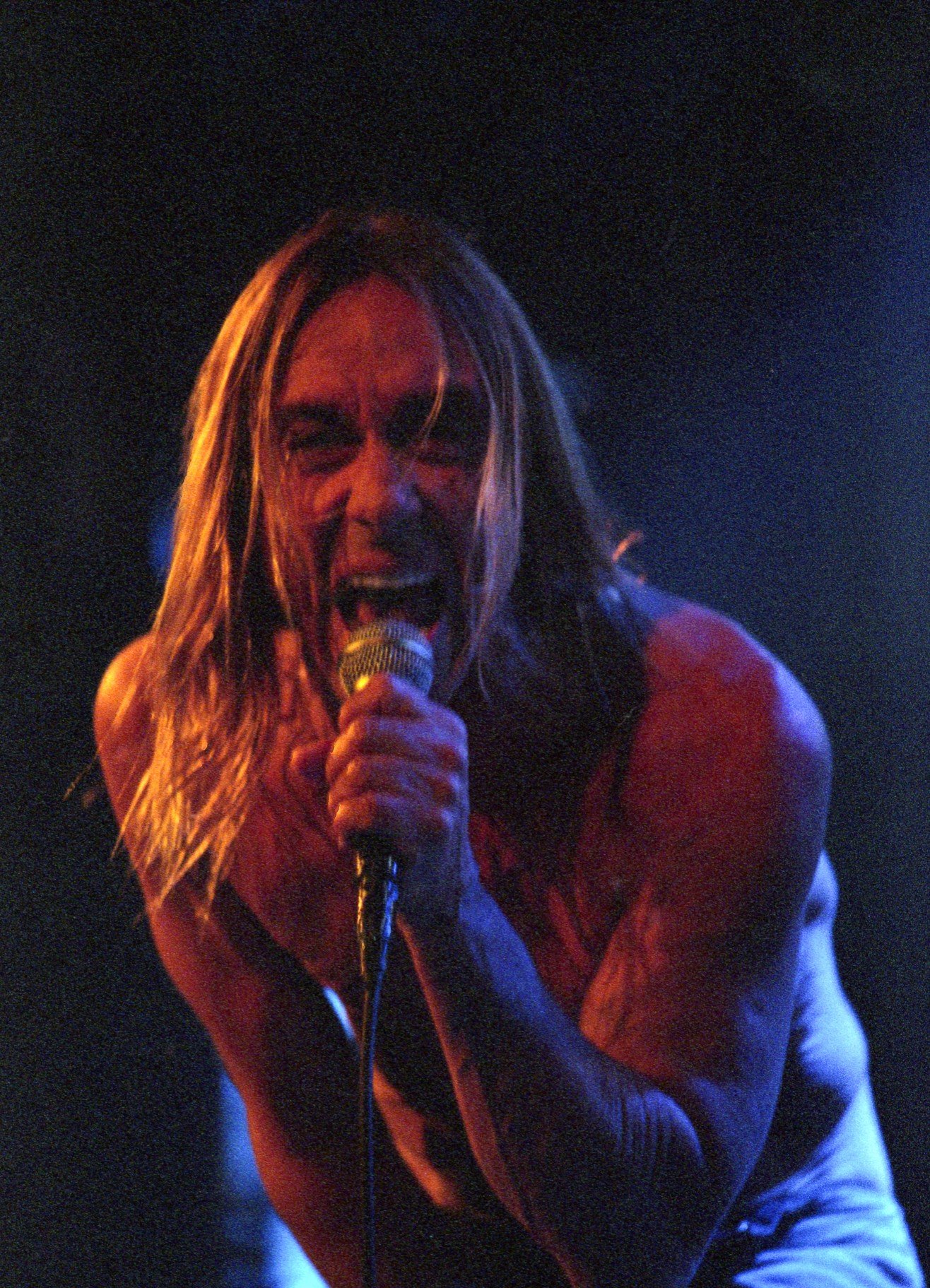 The Birth of Punk: The Midwest's DIY Scene (image credits: wikimedia)