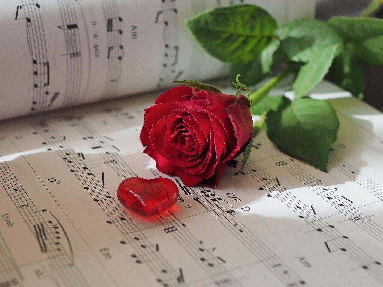 7. She Blended Satire and Romance With Surgical Precision (image credits: pixabay)