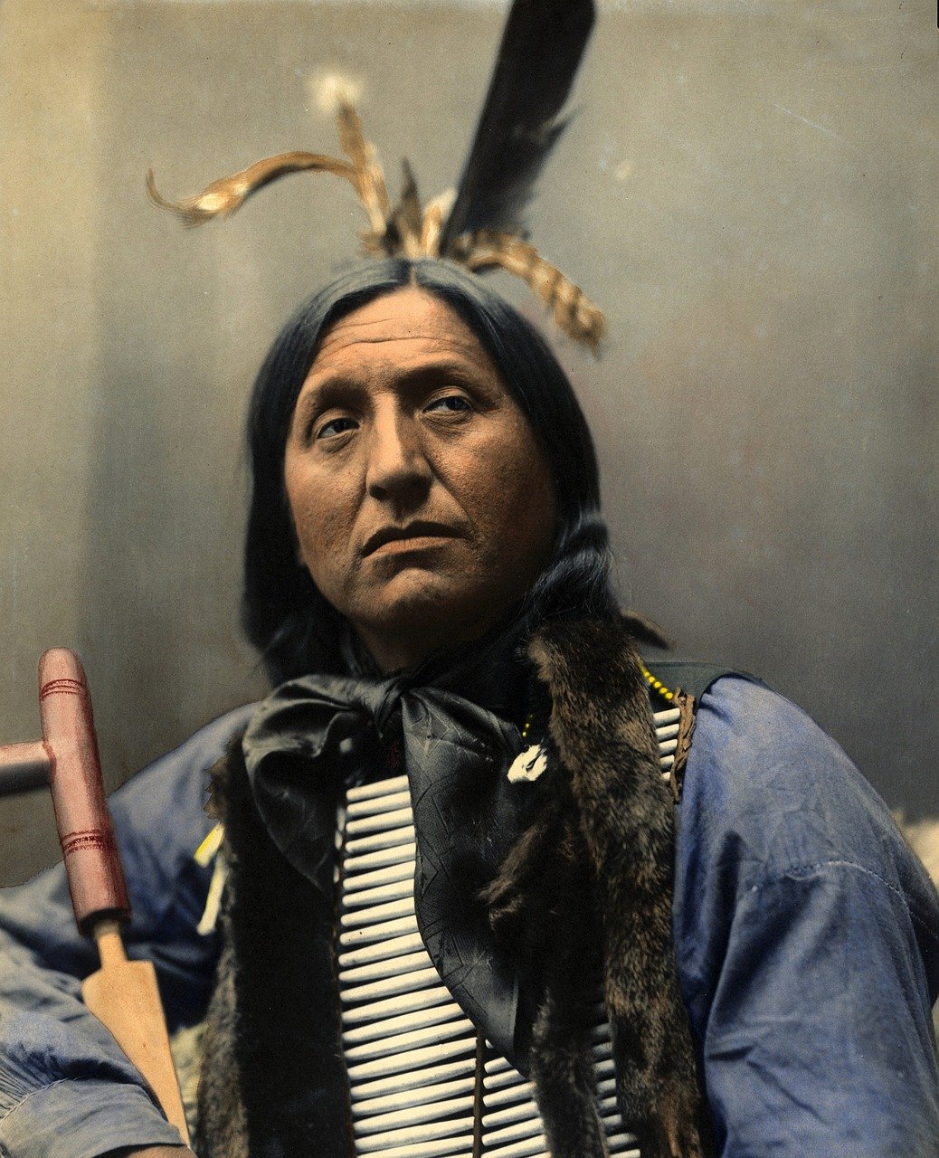3. The Myth: The Frontier Was a Land of Untamed Wilderness (image credits: pixabay)