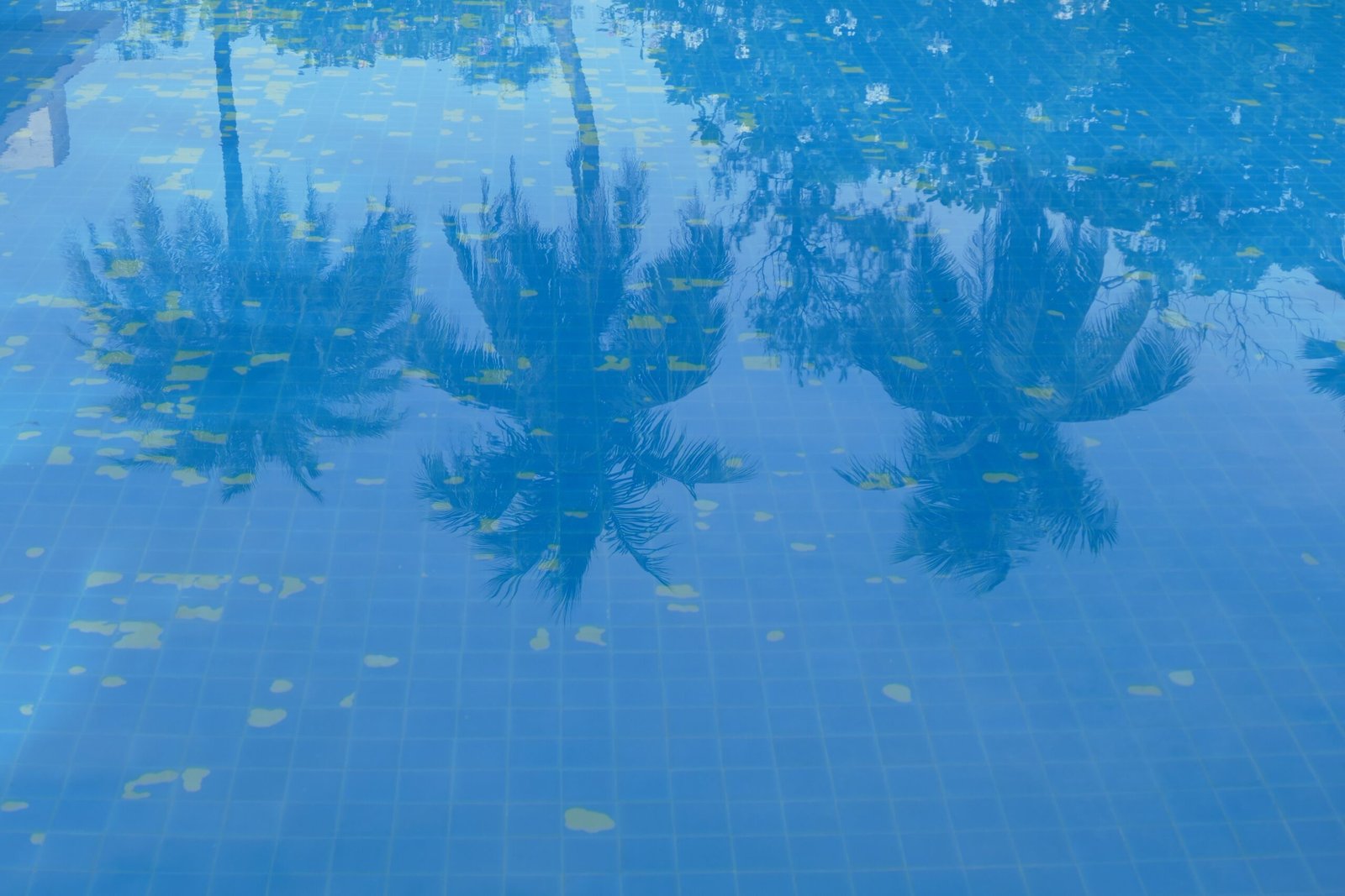 Nicolas Cage Movies and Swimming Pool Tragedies (image credits: wikimedia)