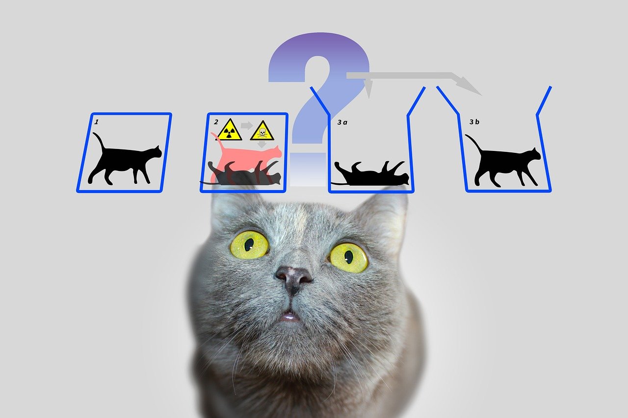 Quantum Superposition: Schrödinger's Reality Glitch (image credits: pixabay)