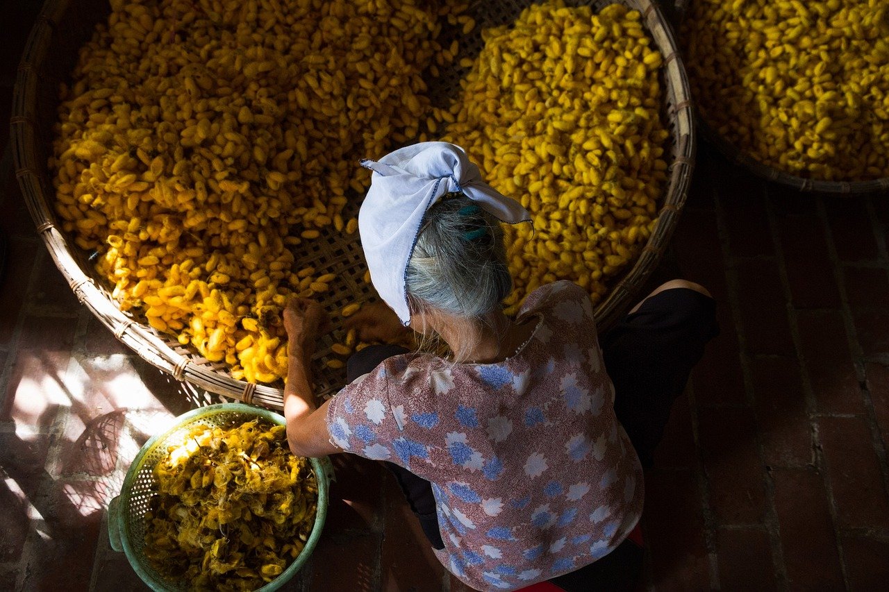Spread Cuisine and Agricultural Products (image credits: pixabay)