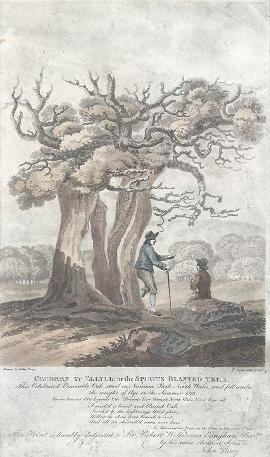 Knocking on Wood – Ancient Belief in Tree Spirits (image credits: wikimedia)