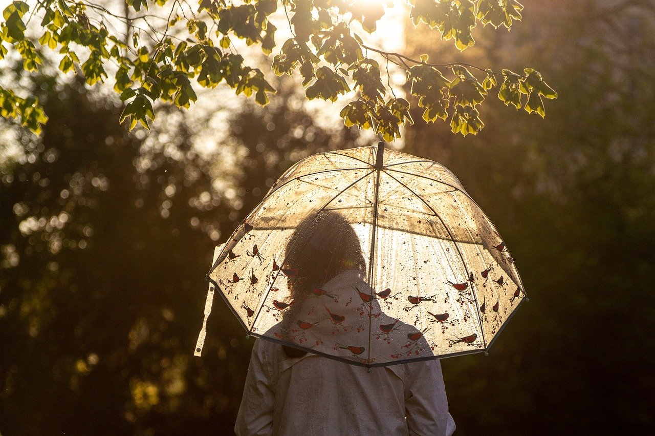 Opening an Umbrella Indoors – Victorians Believed It Offended the Sun God (image credits: pixabay)