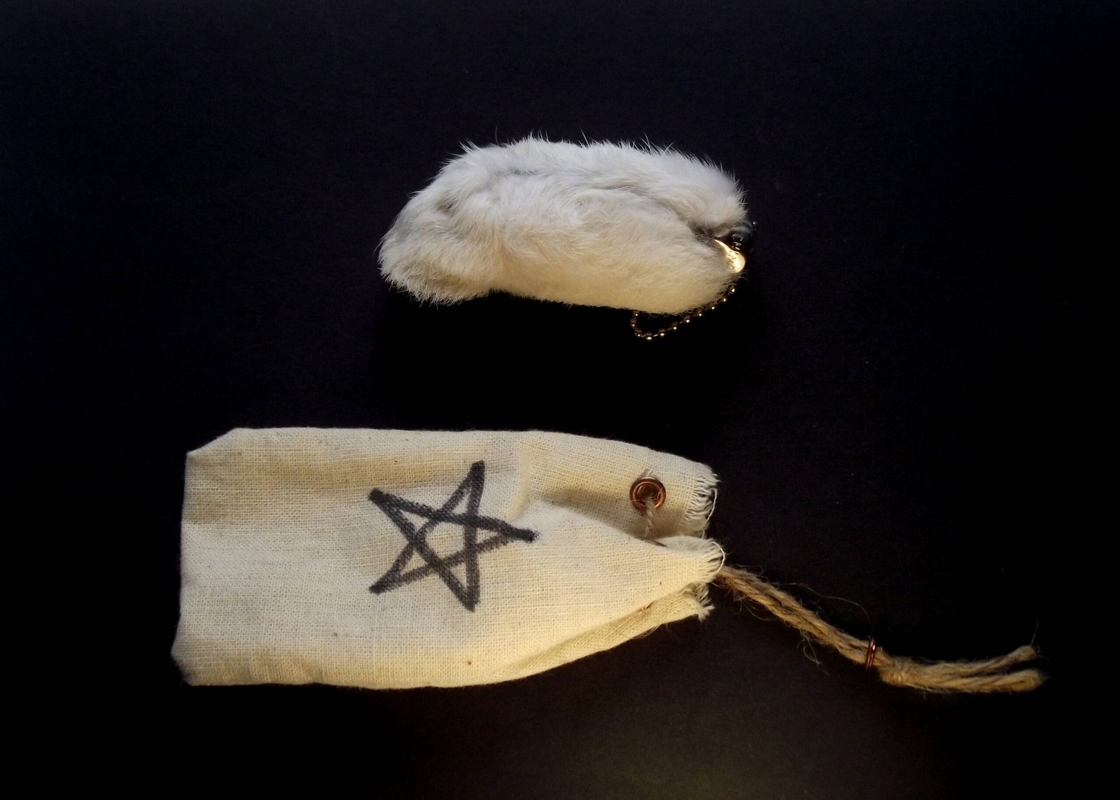 Carrying a Rabbit’s Foot – Celtic Symbol of Fertility and Luck (image credits: wikimedia)