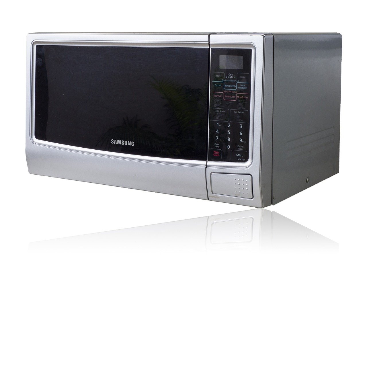 3. The Rise of Domestic Models (image credits: pixabay)