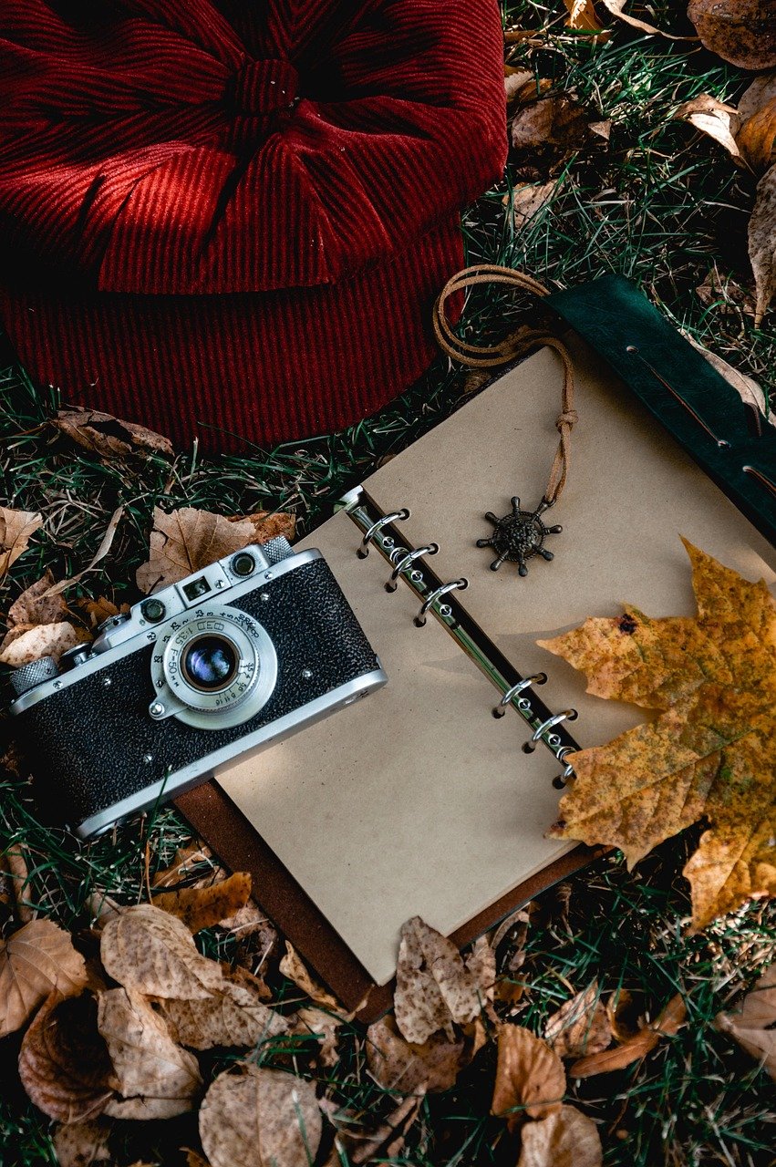 Some Retro Devices Offer Greater Privacy Than Smart Tech (image credits: pixabay)