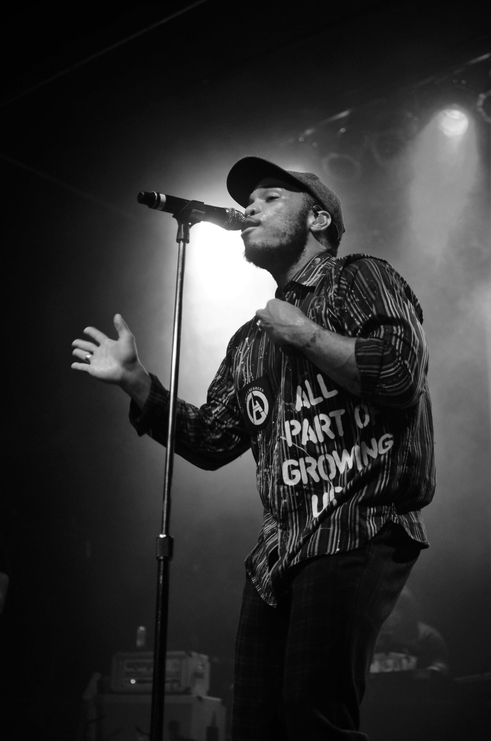 Anderson .Paak & The Free Nationals – A Genre-Blending Masterclass (2016) (image credits: wikimedia)