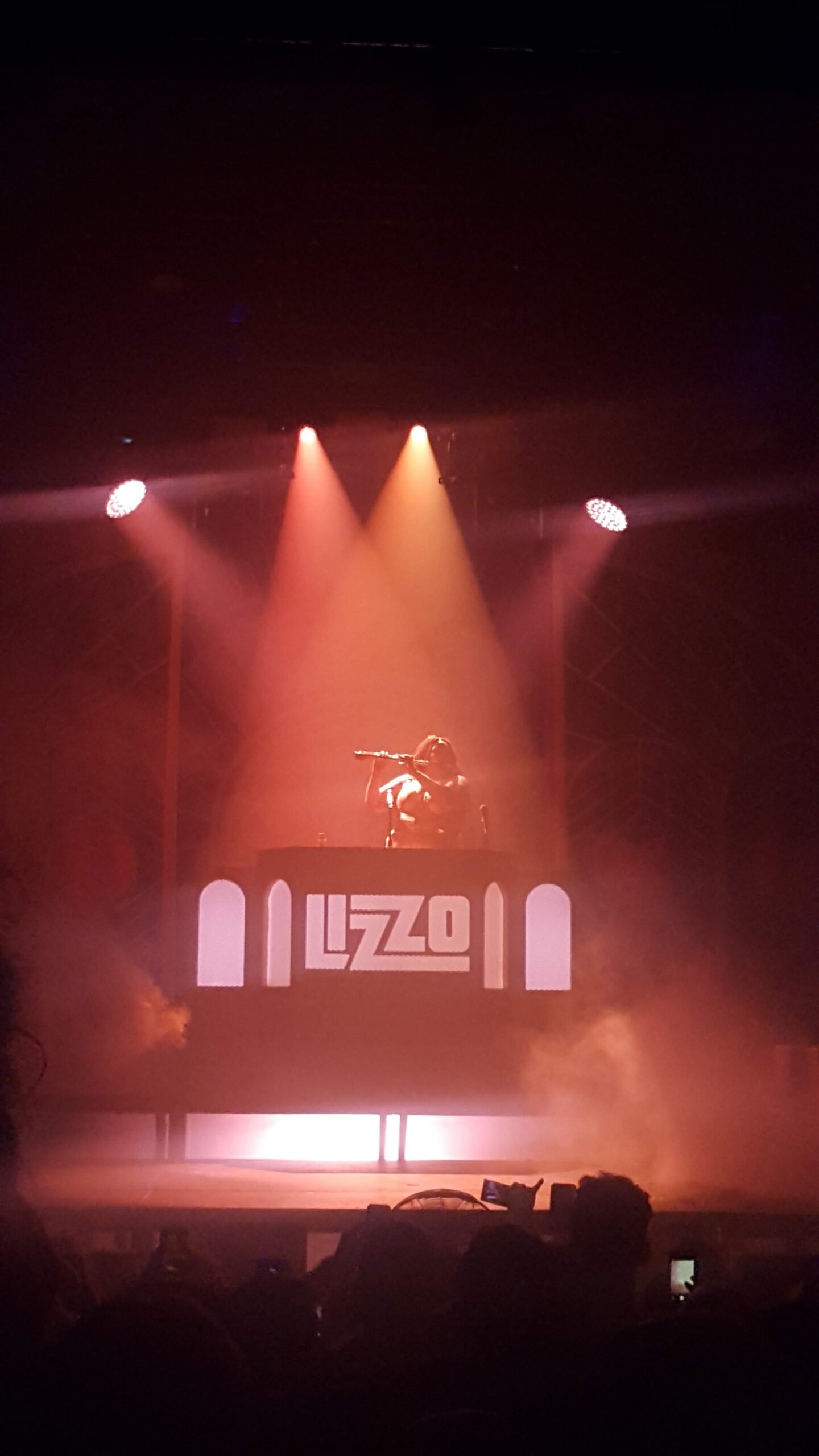 Lizzo – The Empowering Diva (2018) (image credits: wikimedia)