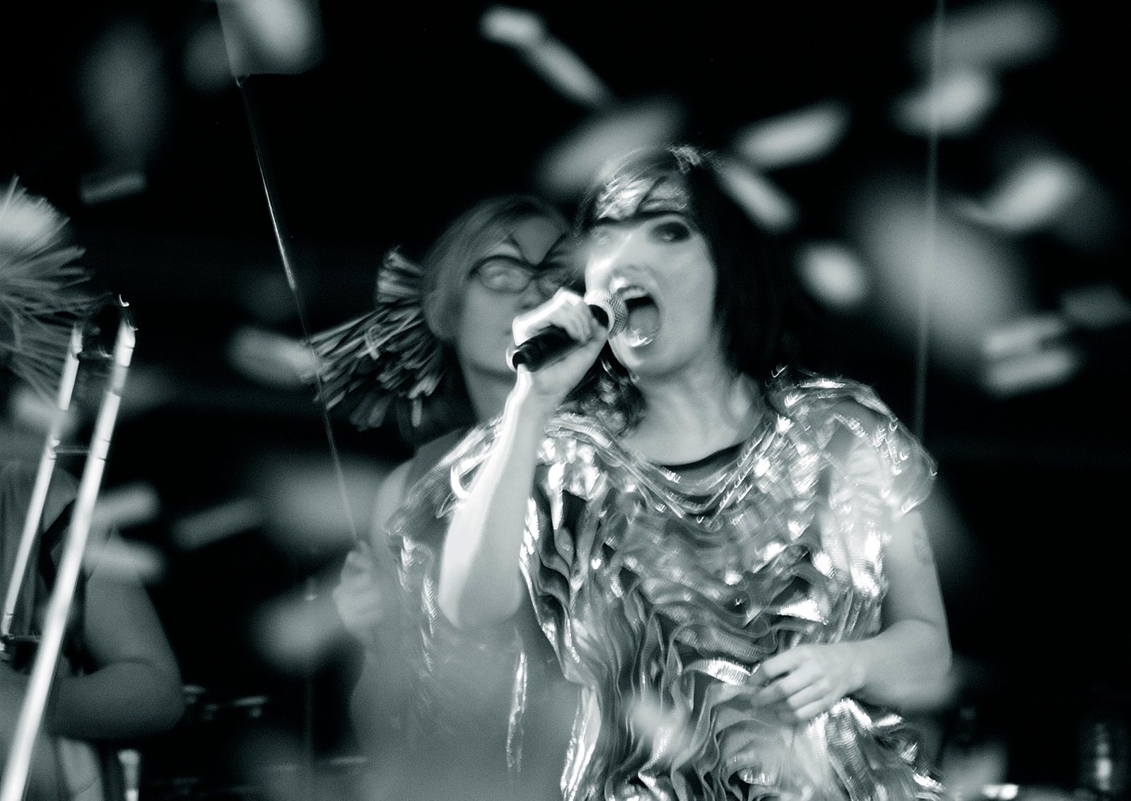 Björk: Sound's Wild Explorer (image credits: wikimedia)