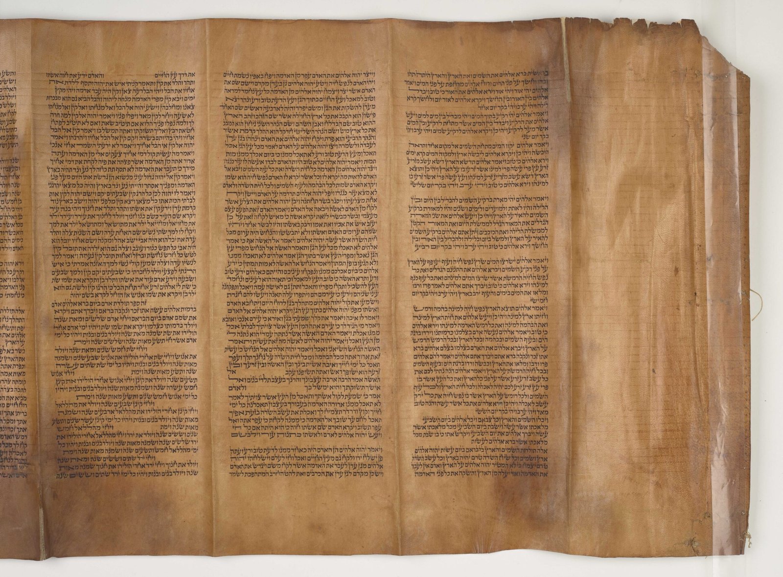 The Torah: The Law and Legacy of a People (image credits: wikimedia)