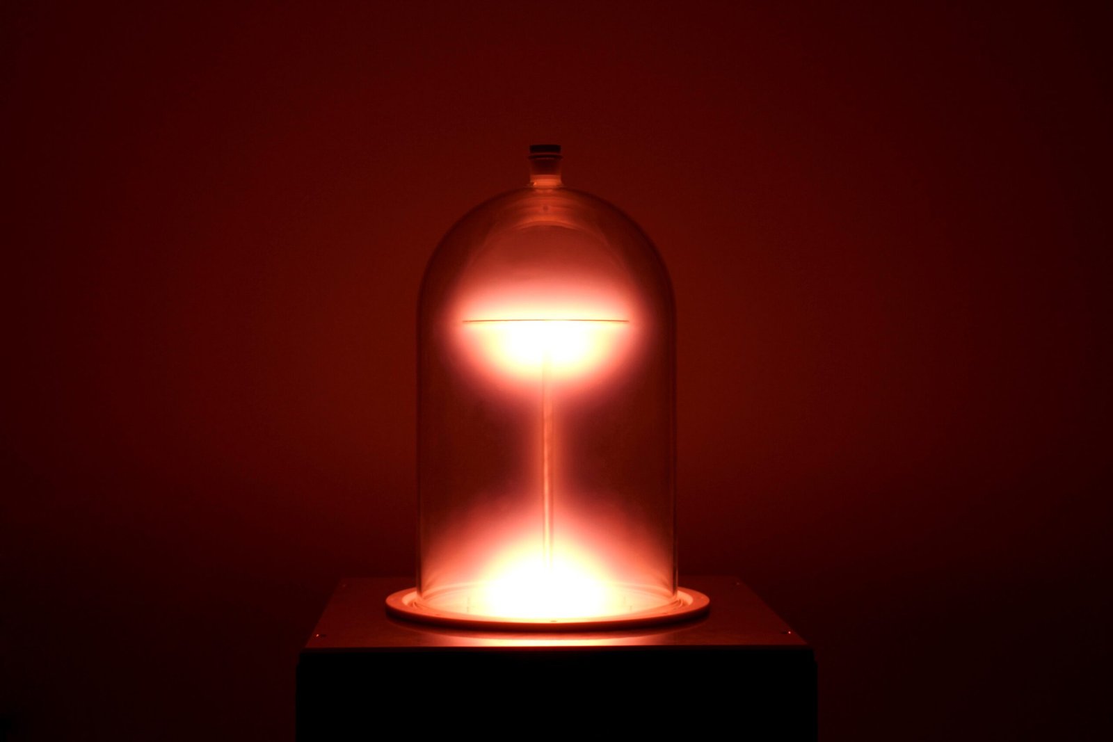 The Bell Jar – Sylvia Plath (1963) (image credits: wikimedia)