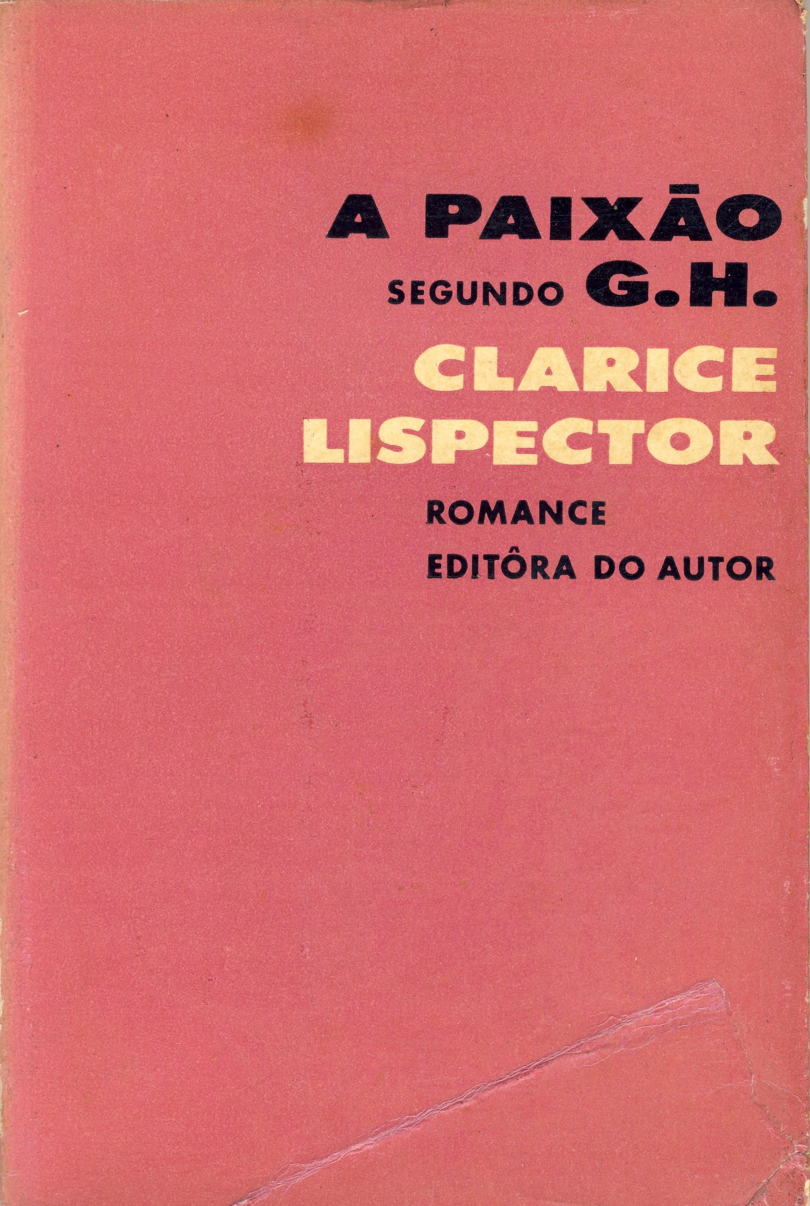 The Passion According to G.H. – Clarice Lispector (1964) (image credits: wikimedia)