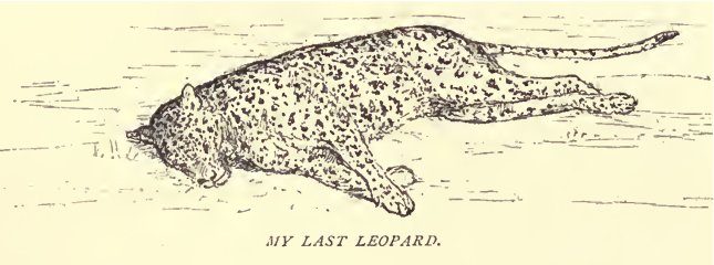 The Leopard – Giuseppe Tomasi di Lampedusa (1958) (image credits: wikimedia)
