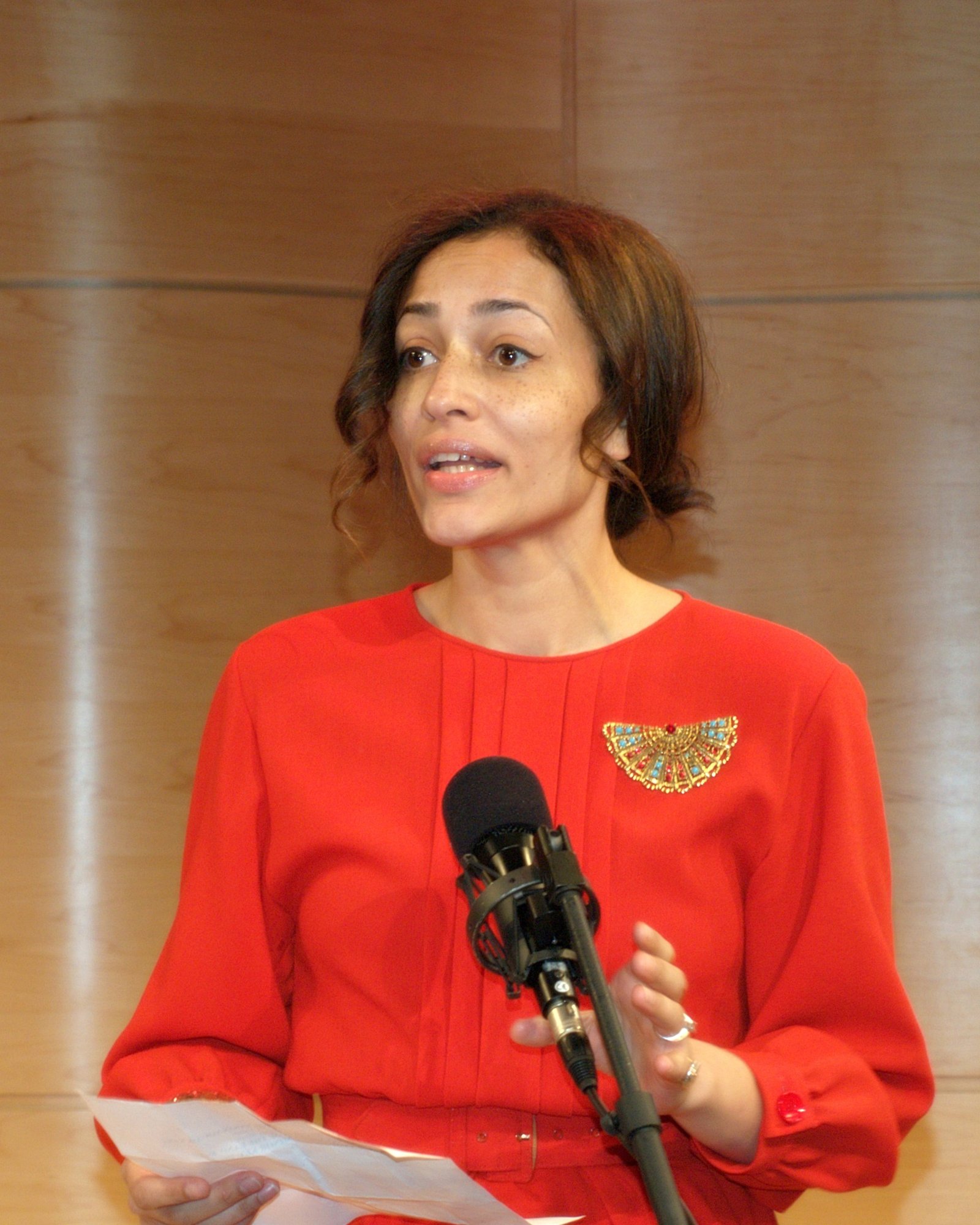 White Teeth – Zadie Smith (2000) (image credits: wikimedia)