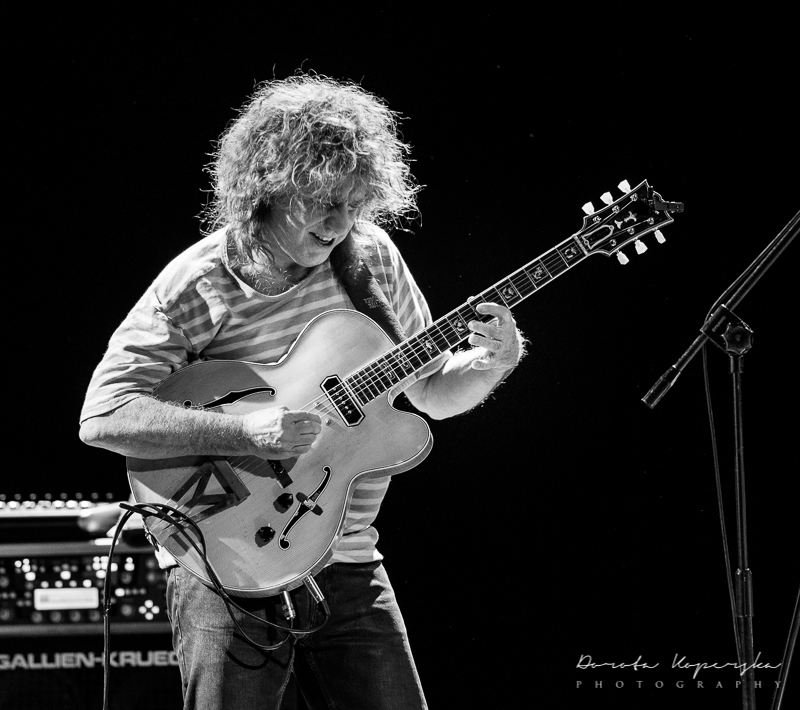 Pat Metheny: Shaping New Worlds with the Pikasso Guitar (image credits: wikimedia)