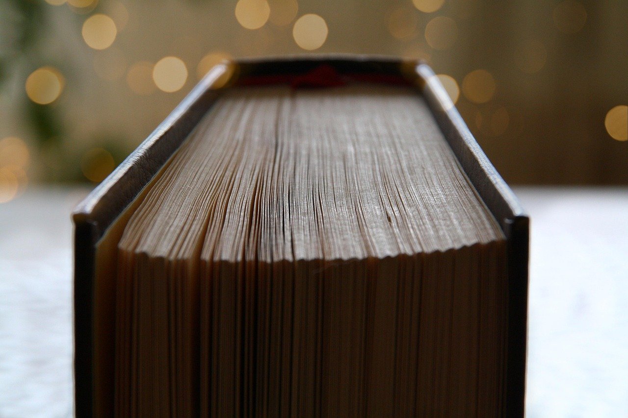 Subplots That Echo the Main Plot – Layers of Connection (image credits: pixabay)