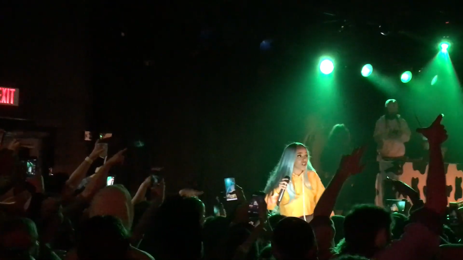 Doja Cat: From Viral Whimsy to Dark Pop Provocateur (image credits: wikimedia)