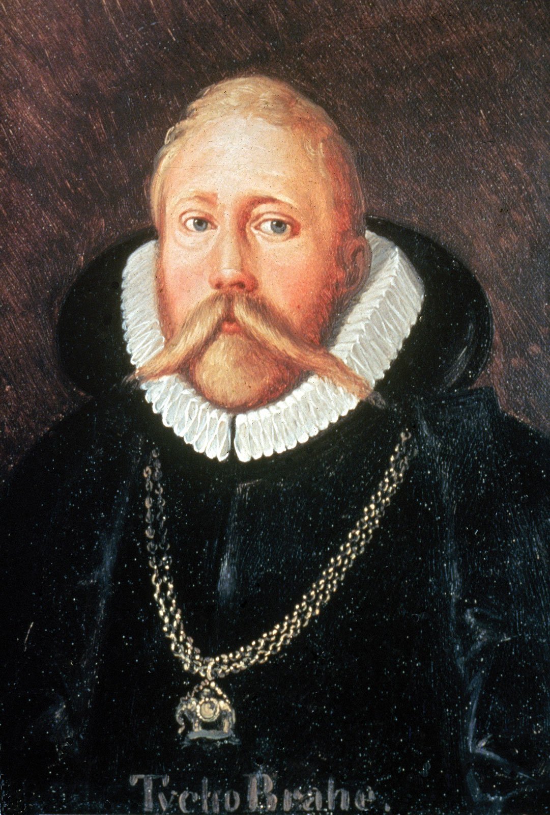 Tycho Brahe: The Noble Astronomer (image credits: wikimedia)