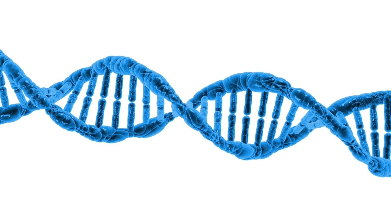 CRISPR-Cas9 Mechanism (image credits: pixabay)