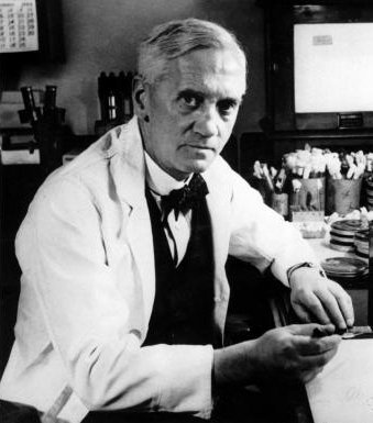 Penicillin Mold Discovery (Alexander Fleming) (image credits: wikimedia)