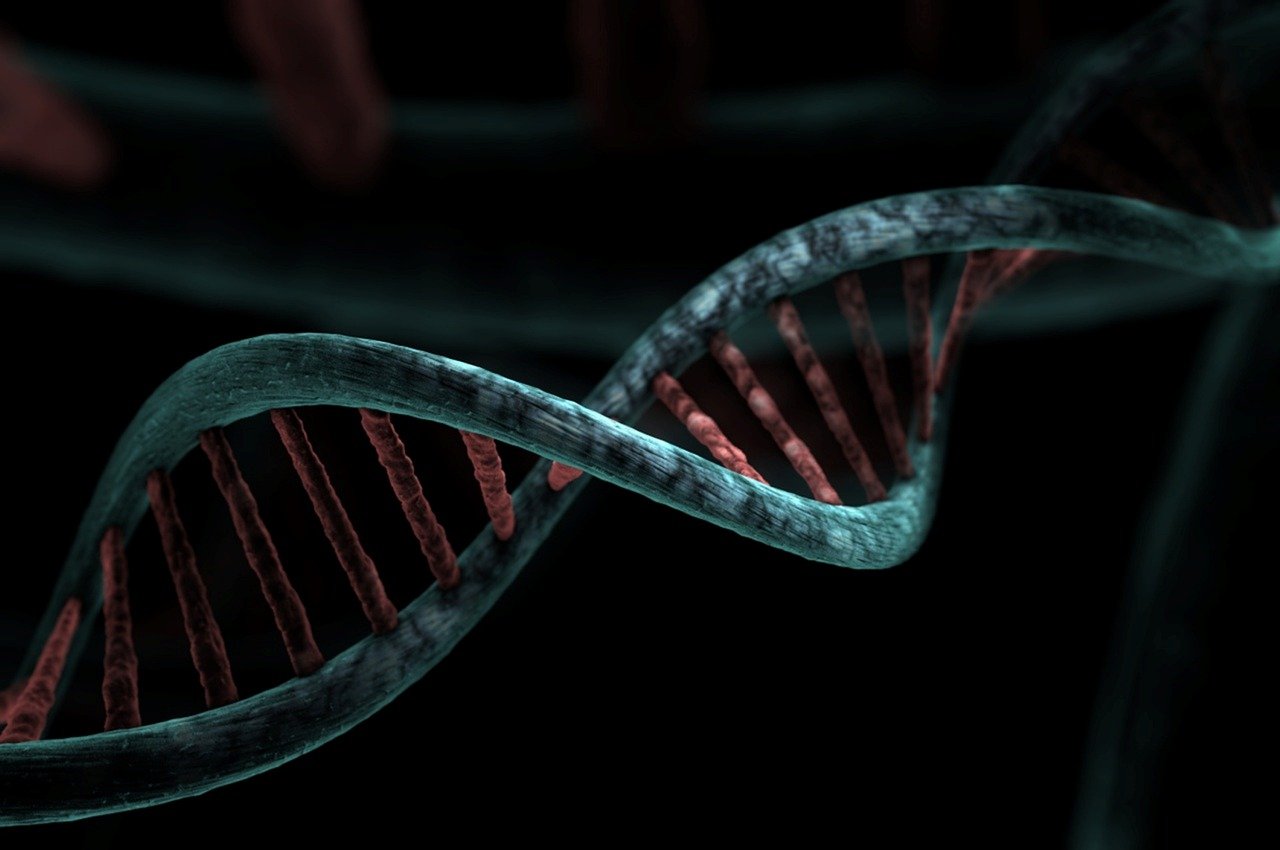 DNA Polymerase (image credits: pixabay)