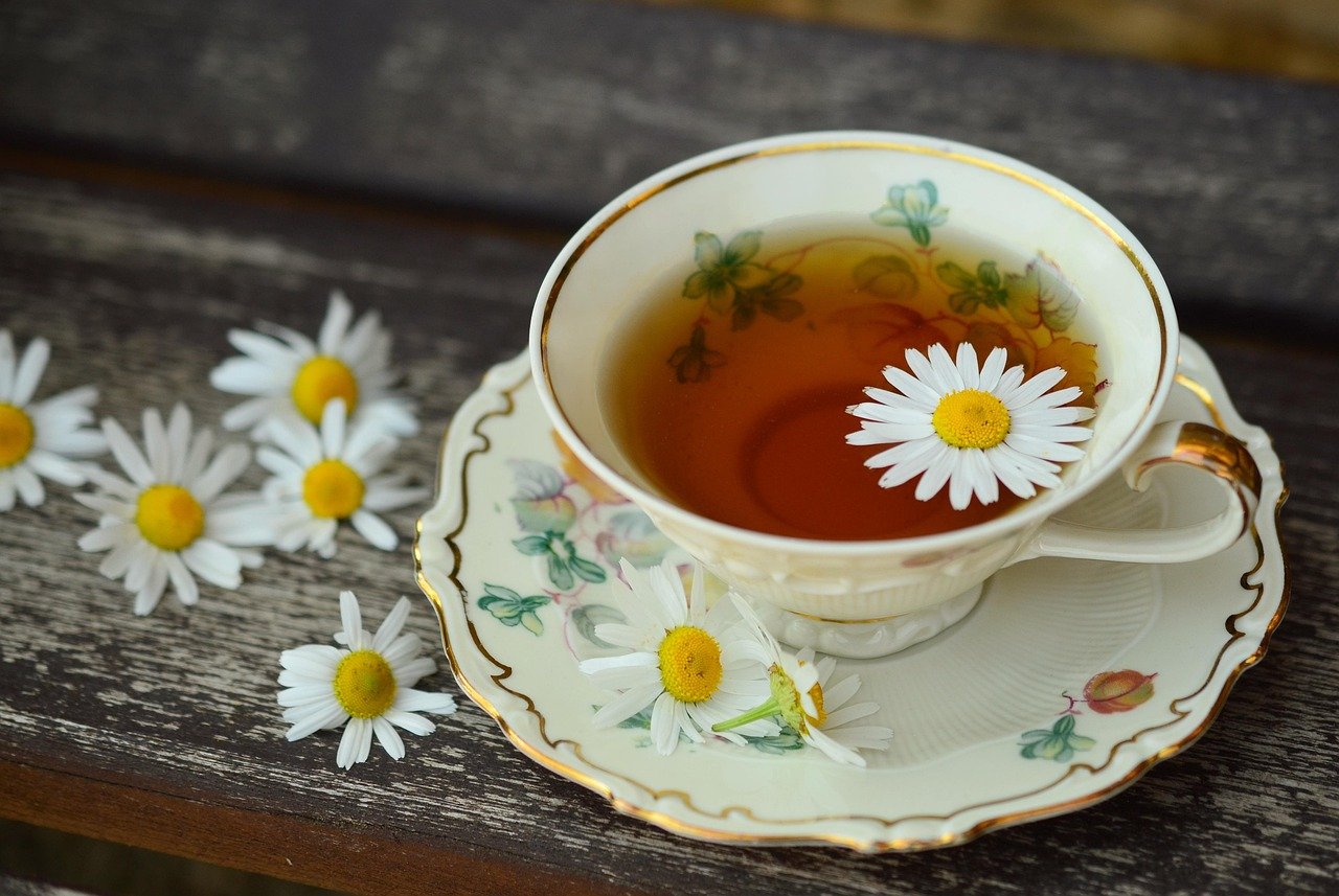 Chamomile Tea – The Metamorphosis by Franz Kafka (image credits: pixabay)