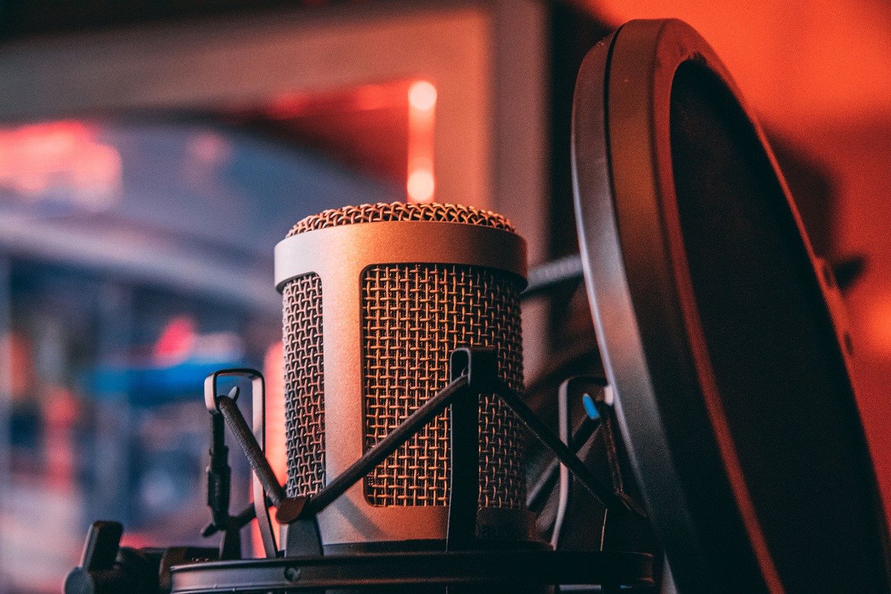 Voice and Tone (image credits: pixabay)