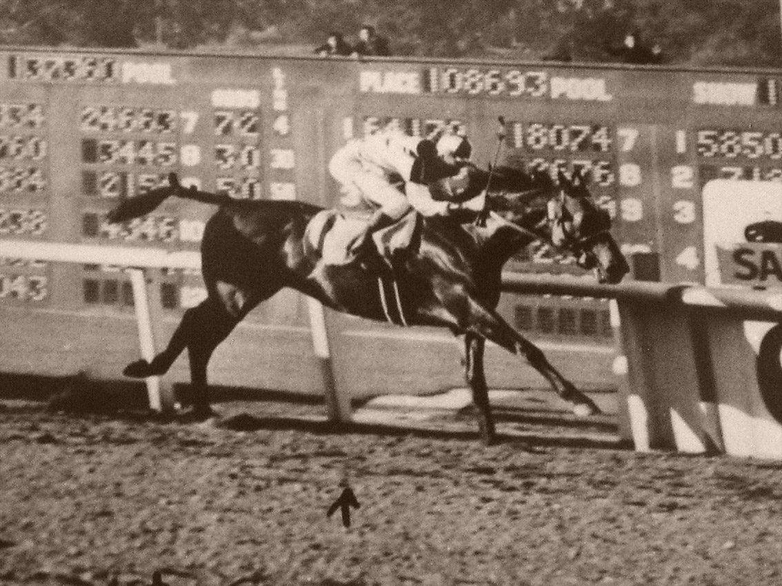 Seabiscuit (image credits: wikimedia)