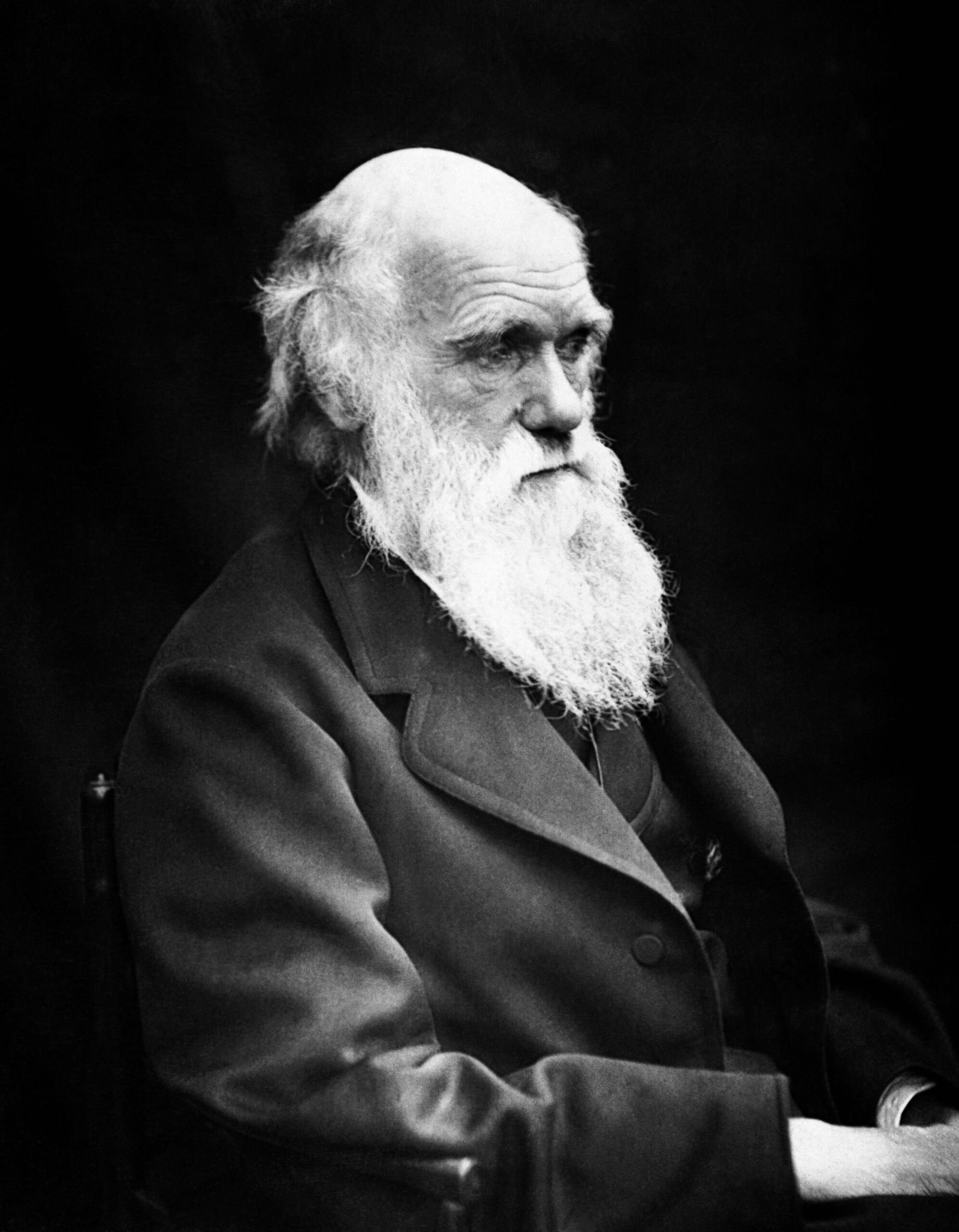 Charles Darwin (image credits: wikimedia)