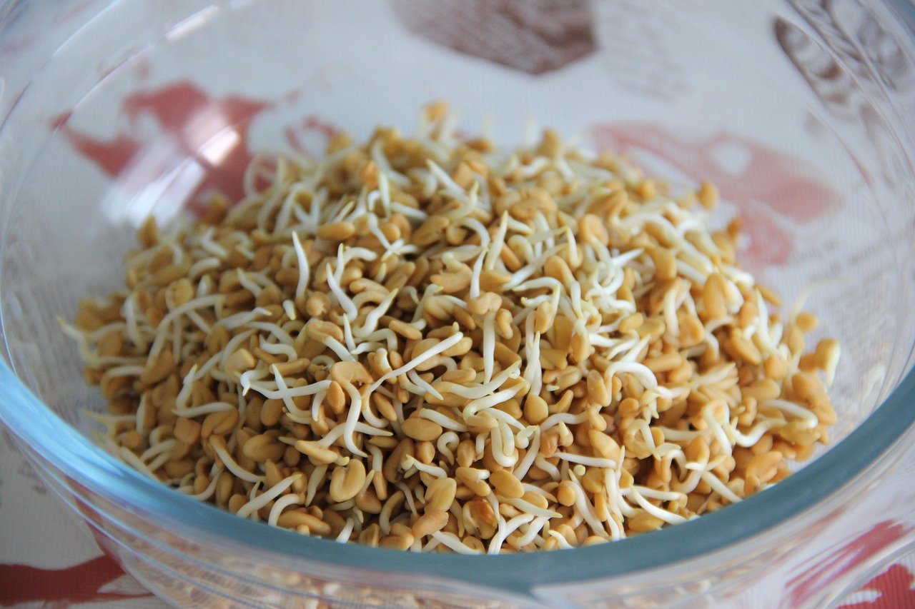 Fenugreek for Digestion (image credits: pixabay)